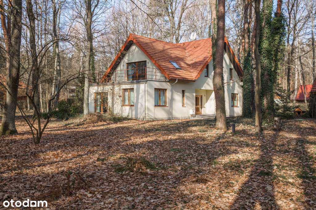 DOM: 270 m2 pozytywnej energii. Prace Duże.-3