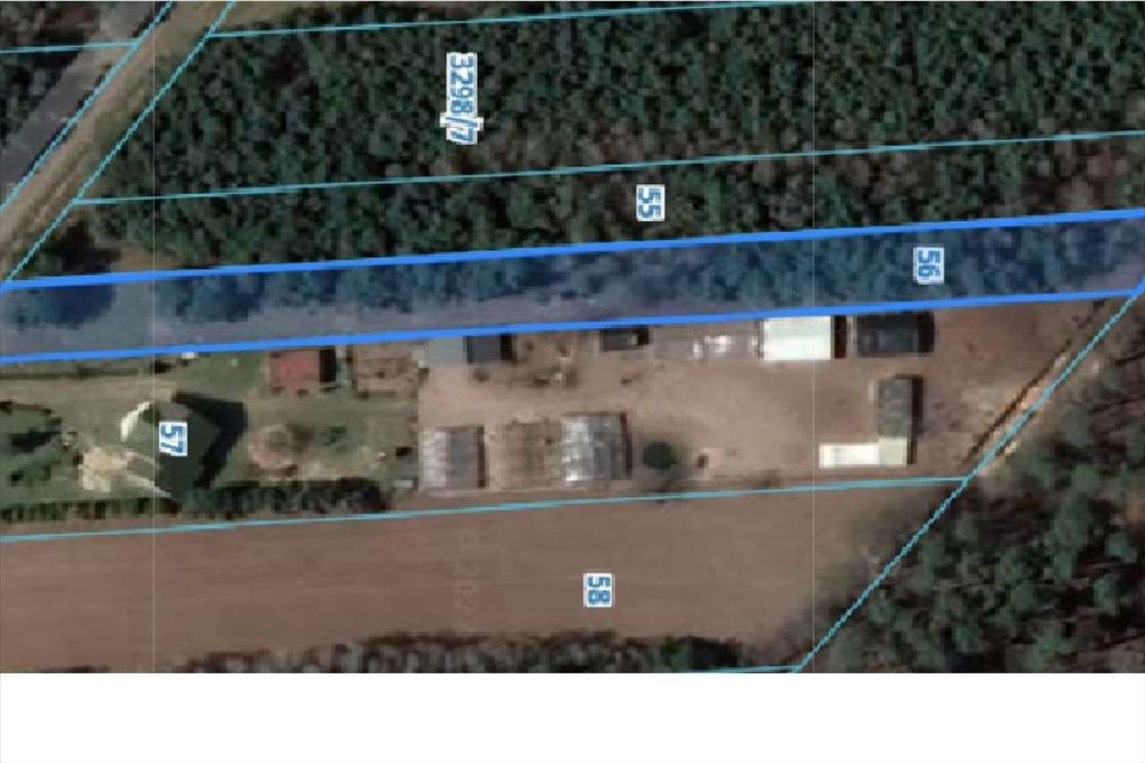 Działki rolne / leśne Dukt/Zalesie - Pełny obrazek: 4/8