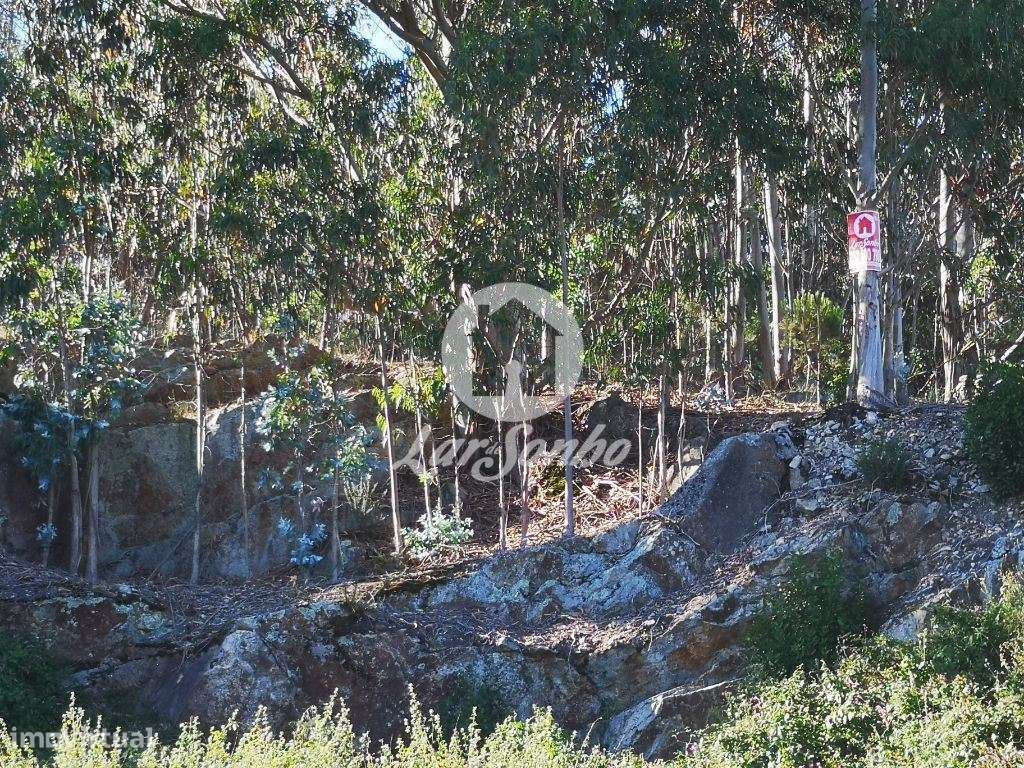 Terreno rústico c/ 20.700m2 de área total c/ viabilidade de constru... - Grande imagem: 5/10