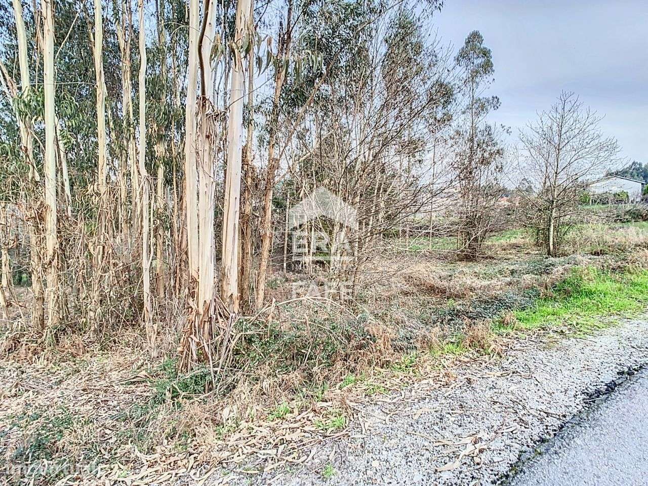 Terreno para construção em Vinhós - Fafe - Grande imagem: 4/6