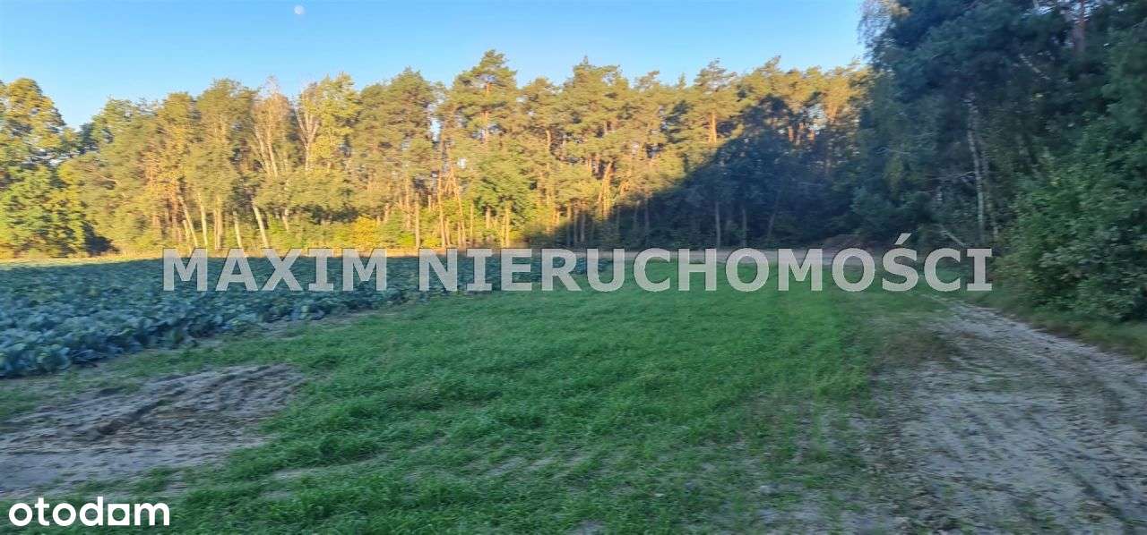 Piękne działki w miejscowości Zaręby gm. Zakroczym - Pełny obrazek: 4/14