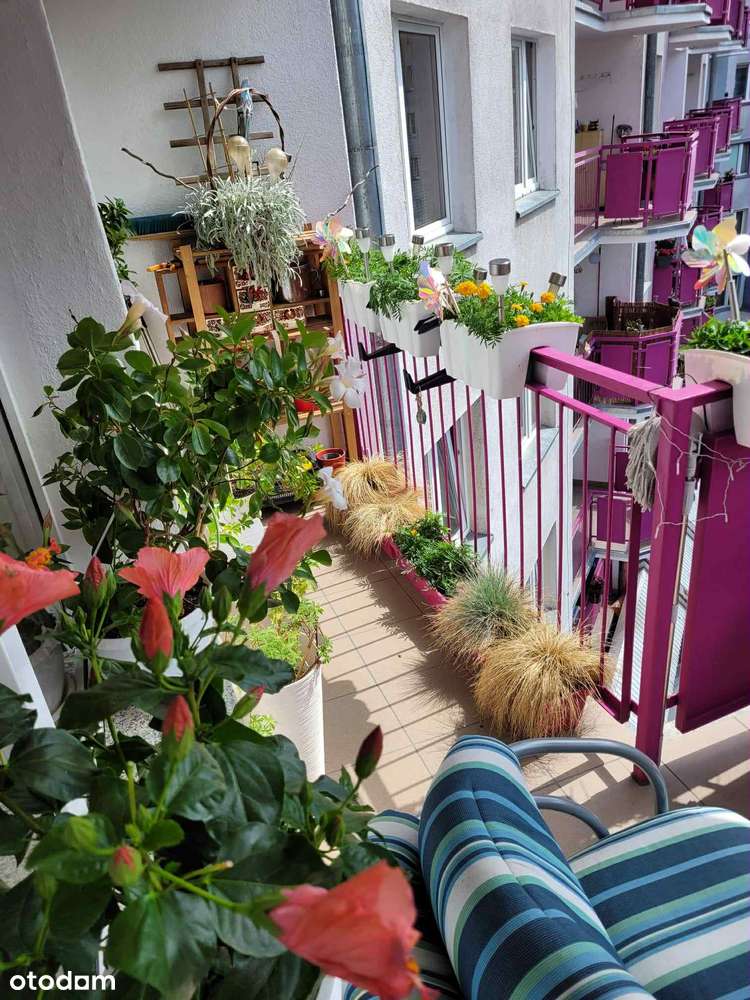 Piękne, słoneczne mieszkanie przy parku-14