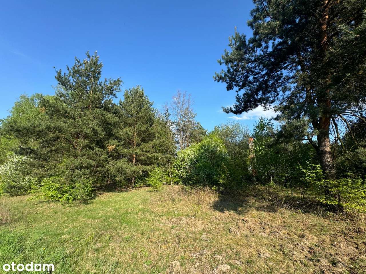 Działki budowlane. Słubica. Żabia Wola-2