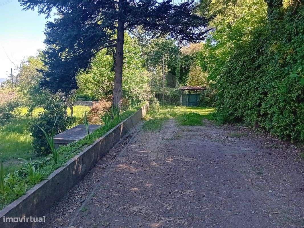 Quinta T7 para venda-8