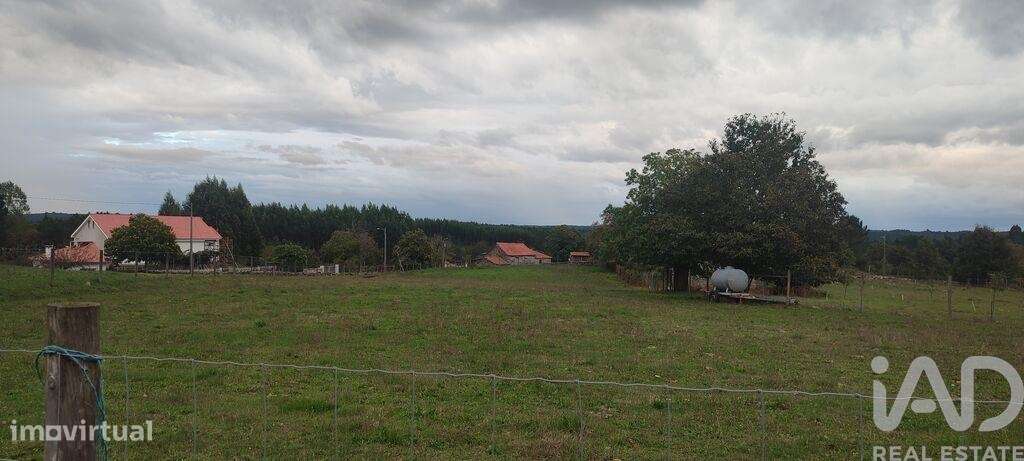 Terreno em Peva e Segões - Grande imagem: 4/6
