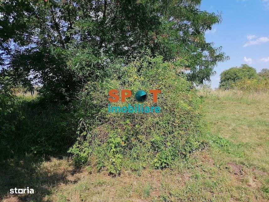 Teren intravilan | 1035 mp | Tureni-2