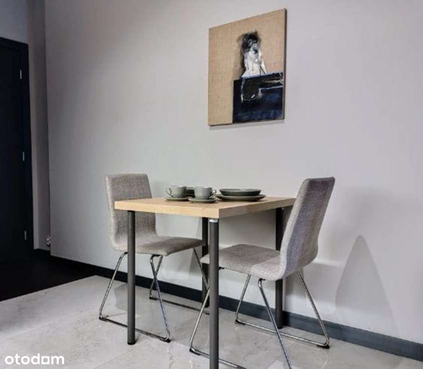 2 mieszkania inwestycyjne z najemcami. Świetna rentowność!-2