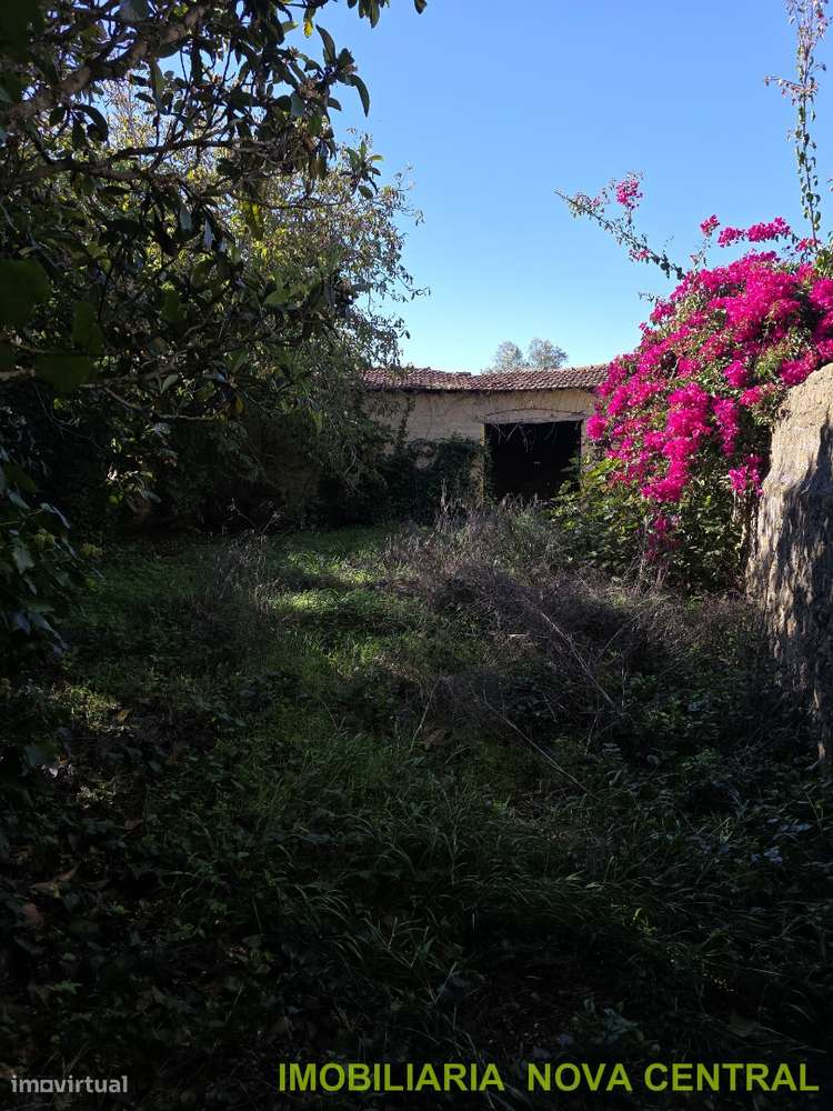 Moradia T2 Venda em Cantanhede e Pocariça,Cantanhede - Grande imagem: 4/7