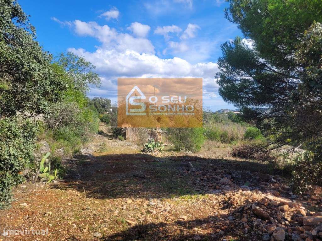 Terreno Urbano com Ruína - Grande imagem: 3/22