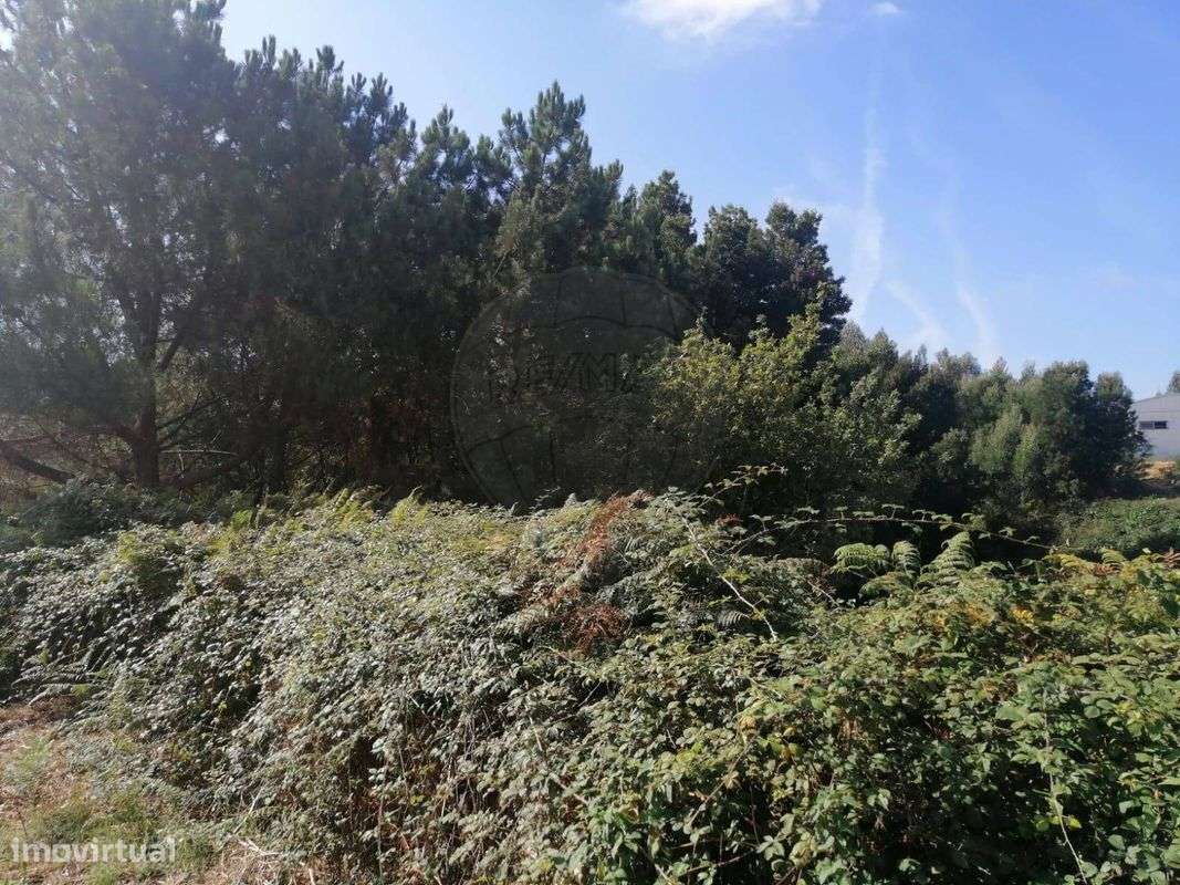 Terreno  para venda - Grande imagem: 4/5