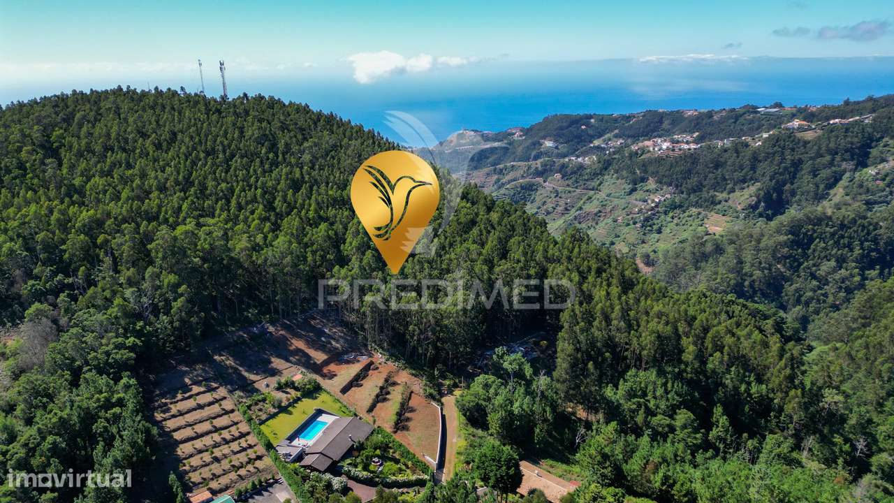 Terreno Rústico 3.355m2 Boqueirao- Gaula - Grande imagem: 2/12