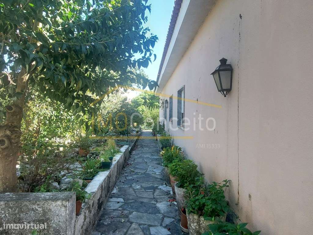 Moradia de campo|| Térrea|| T3 - Grande imagem: 4/23