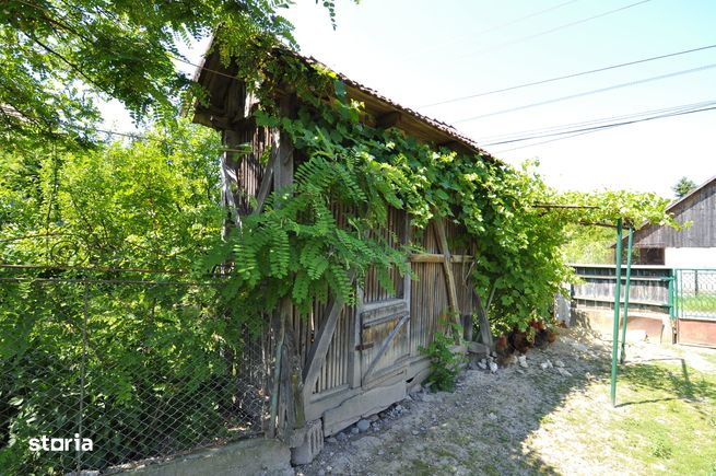 Casă cu teren mare, Band-6
