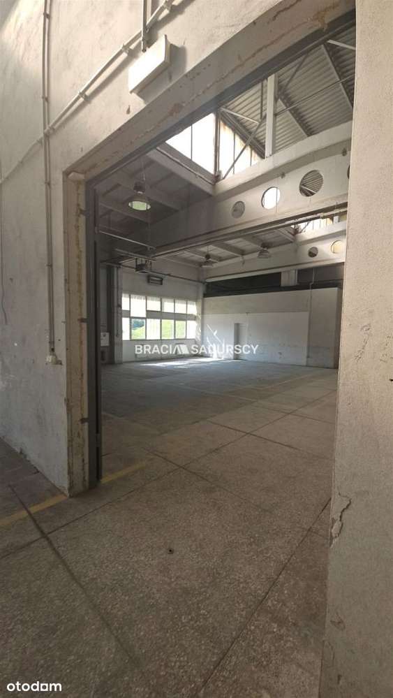 Hala produkcyjno-magazynowa z dużą mocą - Pełny obrazek: 4/9