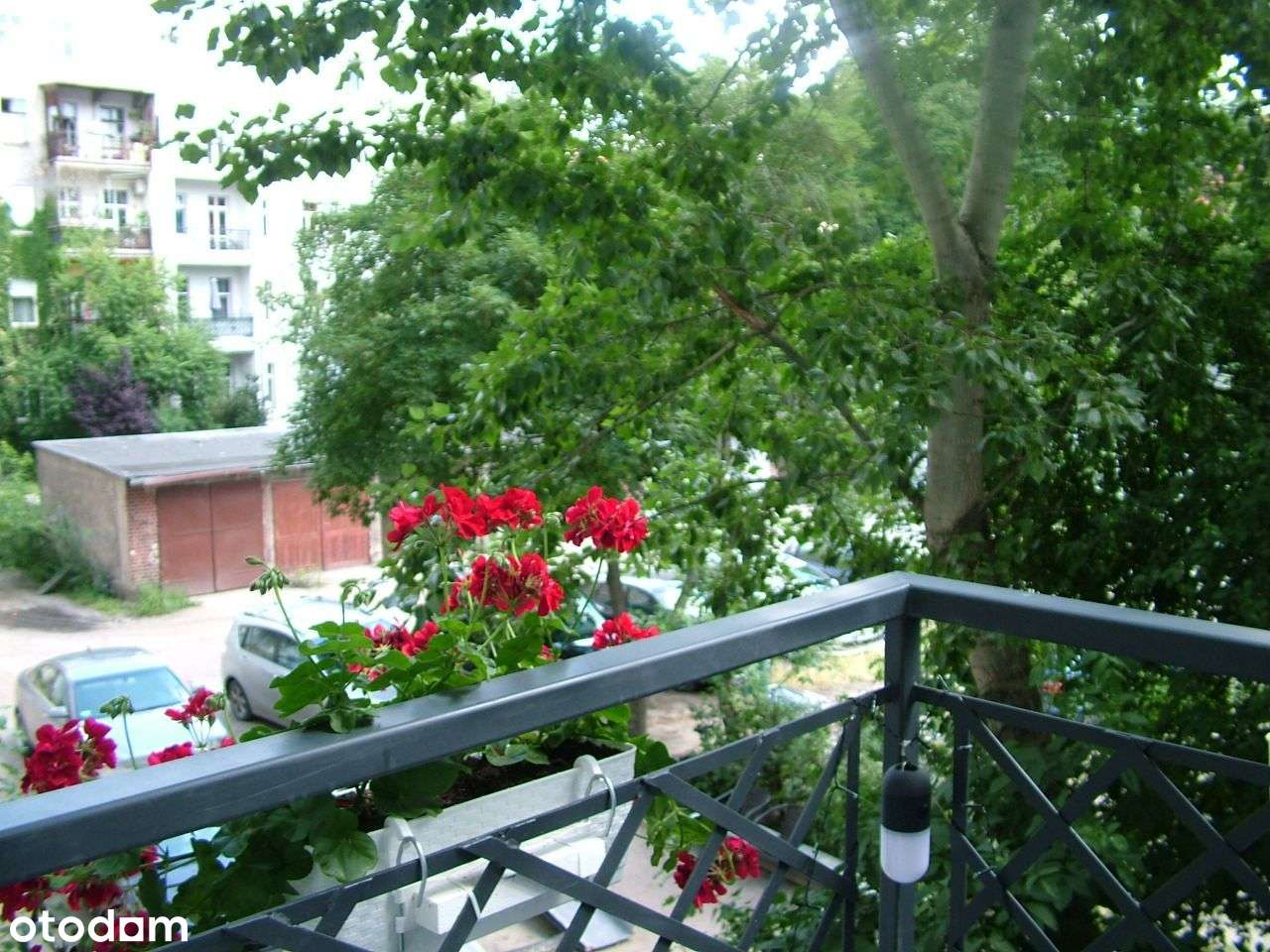 Przestronne mieszkanie w sercu Śródmieścia - Pełny obrazek: 5/5