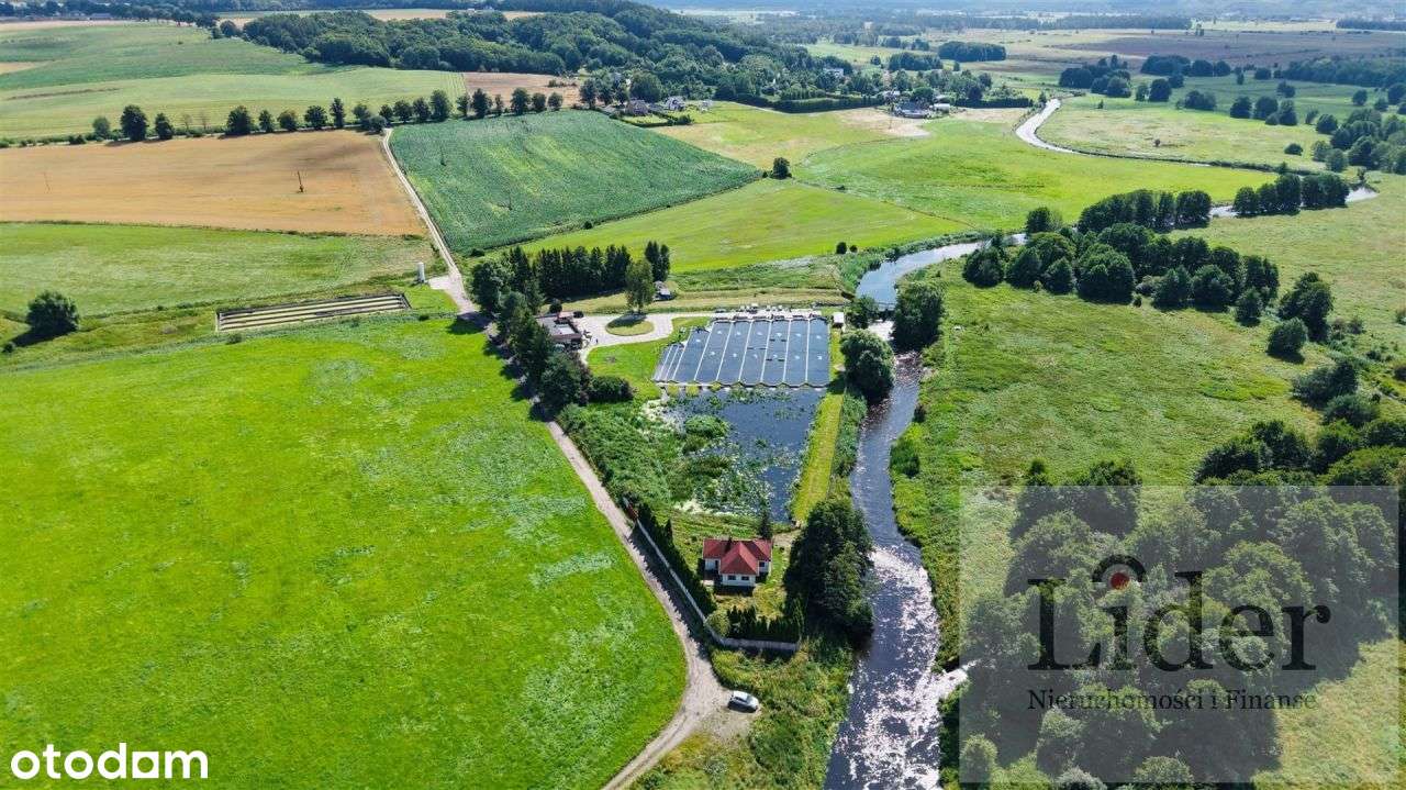 Kompleks stawów hodowlanych - Pełny obrazek: 4/20