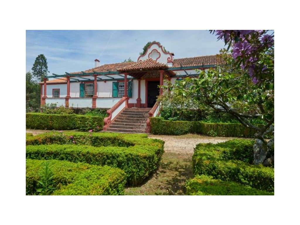Quinta para venda com casa senhorial em Águeda - Grande imagem: 3/38
