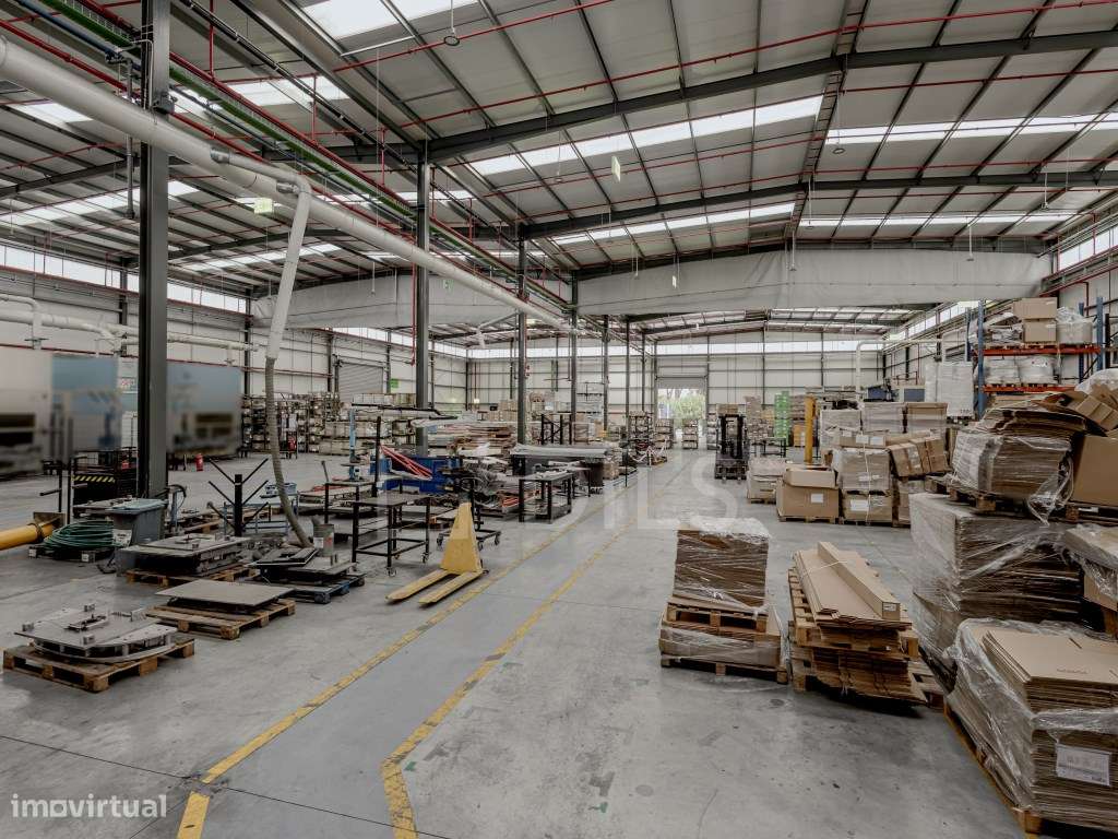 Armazém para arrendar - Complexo Industrial do Carregado - Grande imagem: 5/20