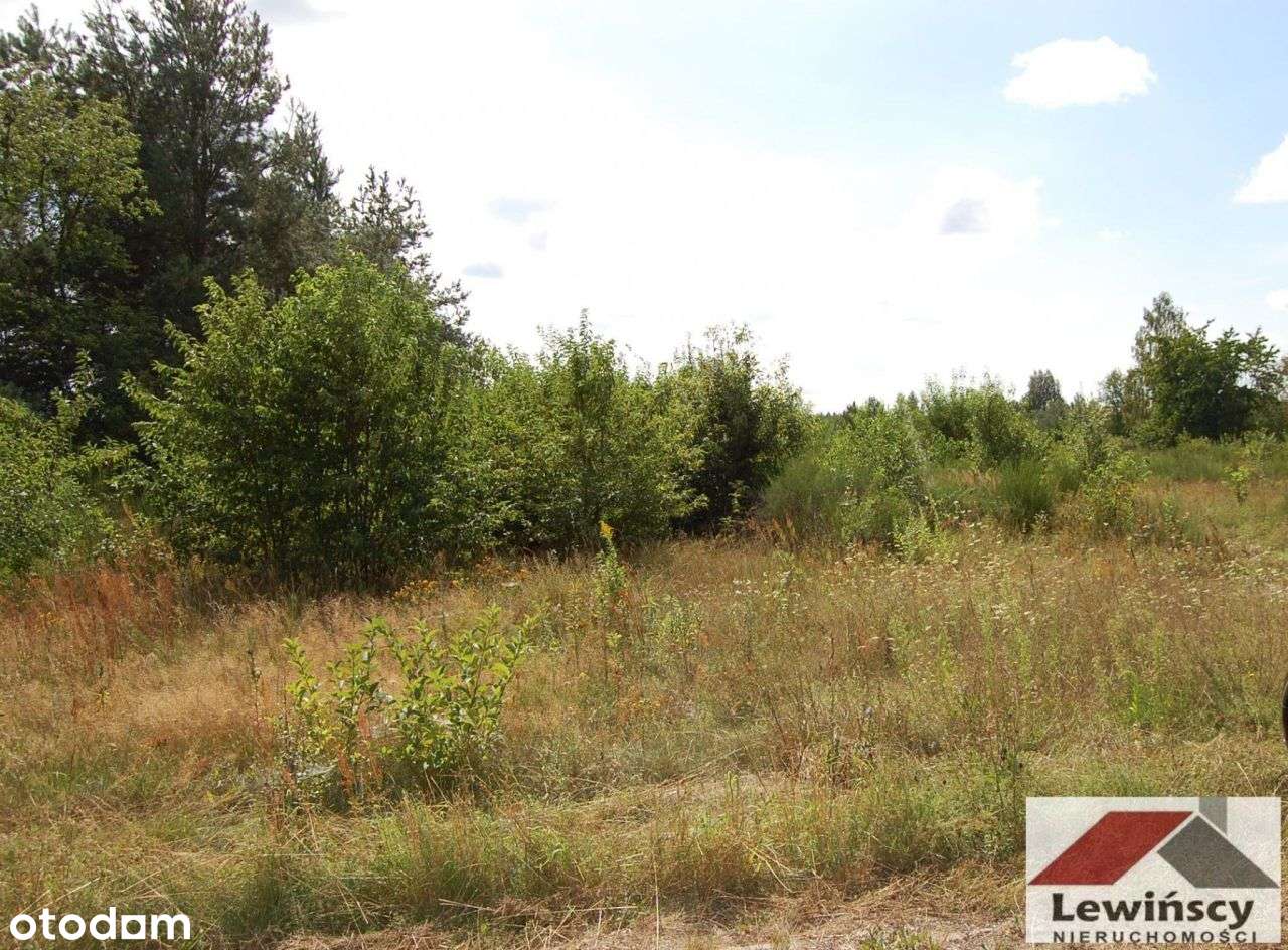 Piotrkowice - Gmina - Zabia Wola-4