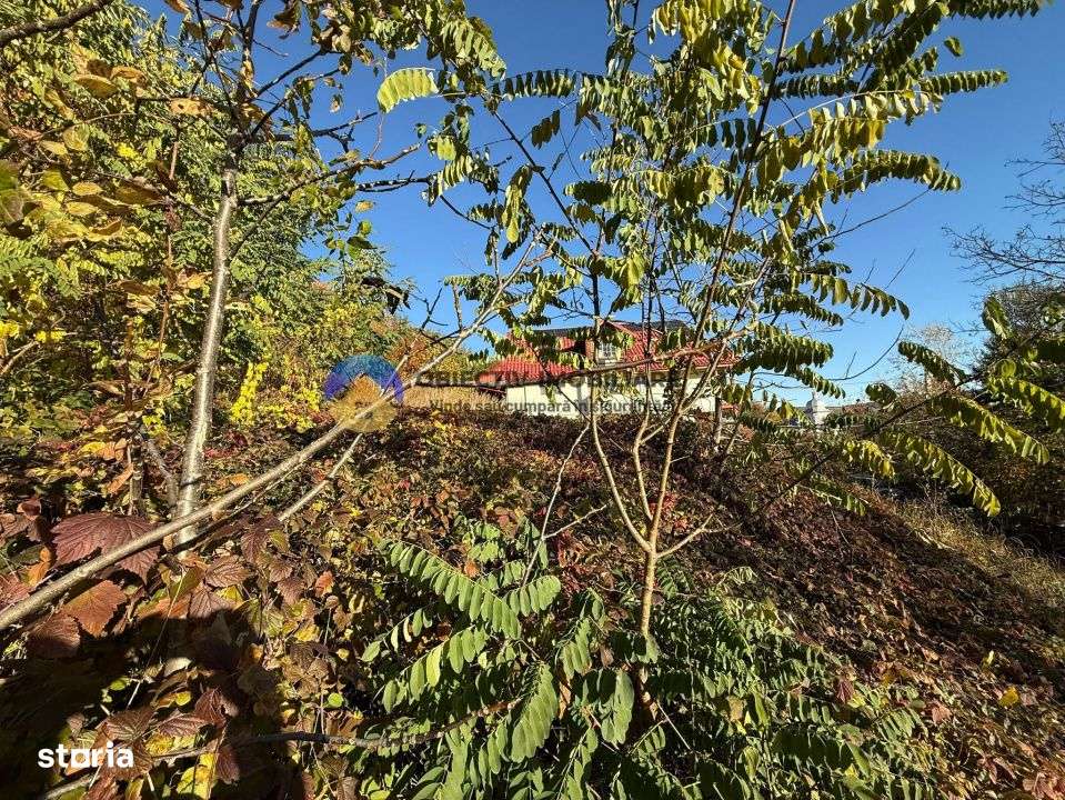 Teren intravilan 1543 mp – zona Darmanesti-8