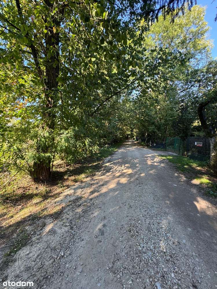 Piękna działka budowlana. Adamów Wieś. Radziejowice-3