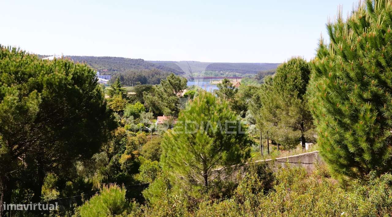 Lote de Moradia - Grande imagem: 3/4