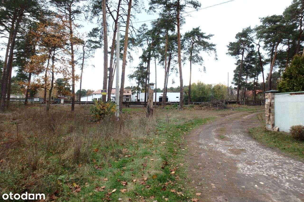 Działka w Józefowie - Pełny obrazek: 4/5