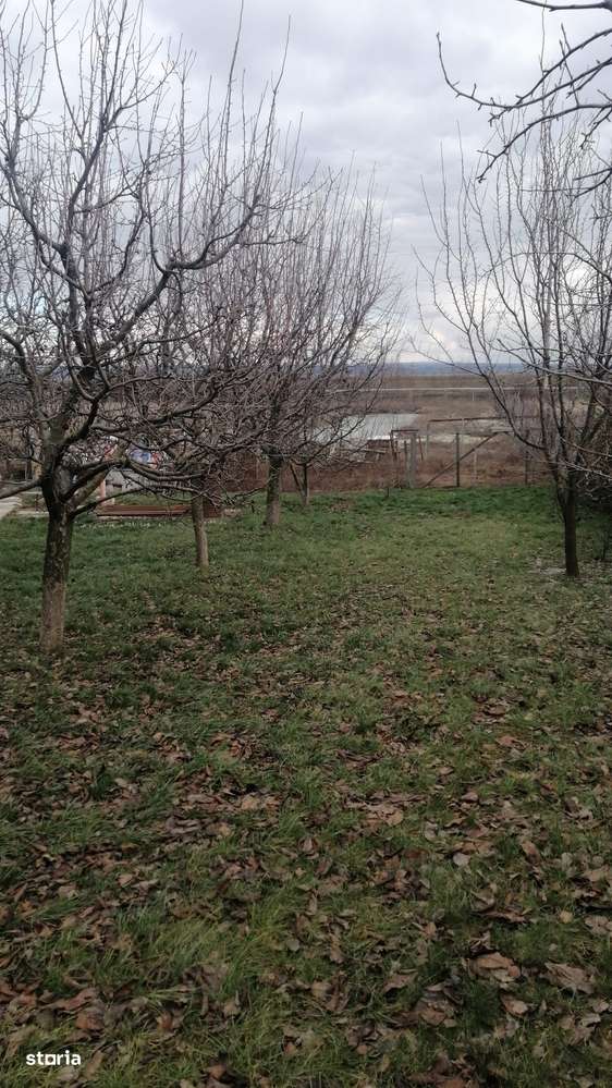 Tomesti - Osoi, vila , spatiu la parter , 2400mp teren, iaz , credit-6