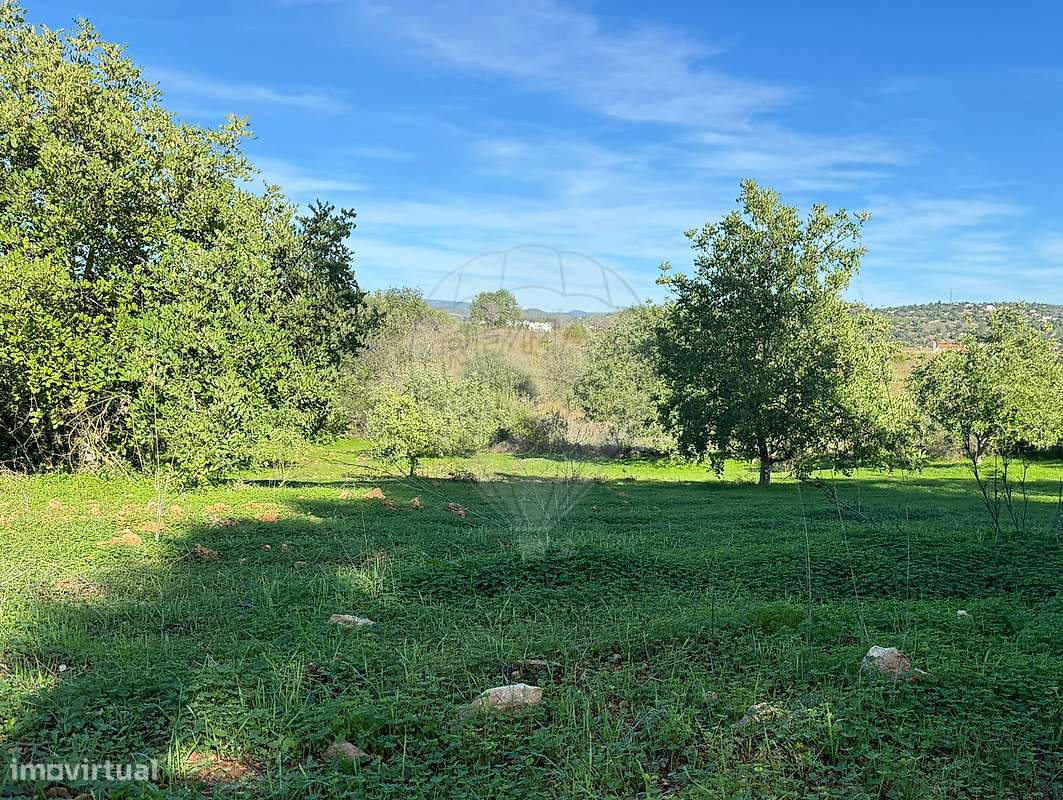 Terreno  para venda-4