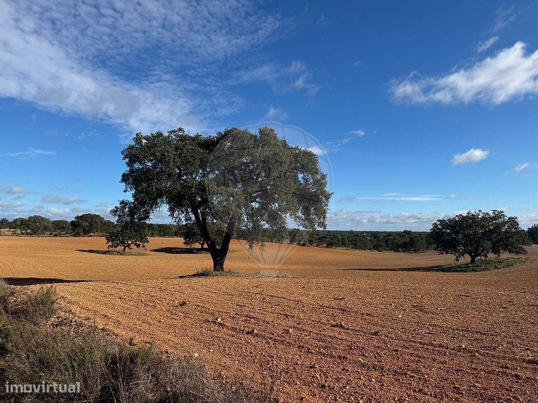 Terreno  para venda - Grande imagem: 1/22