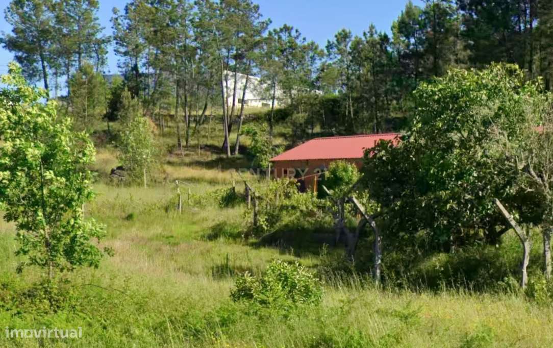 Terreno em Calde - Grande imagem: 5/6