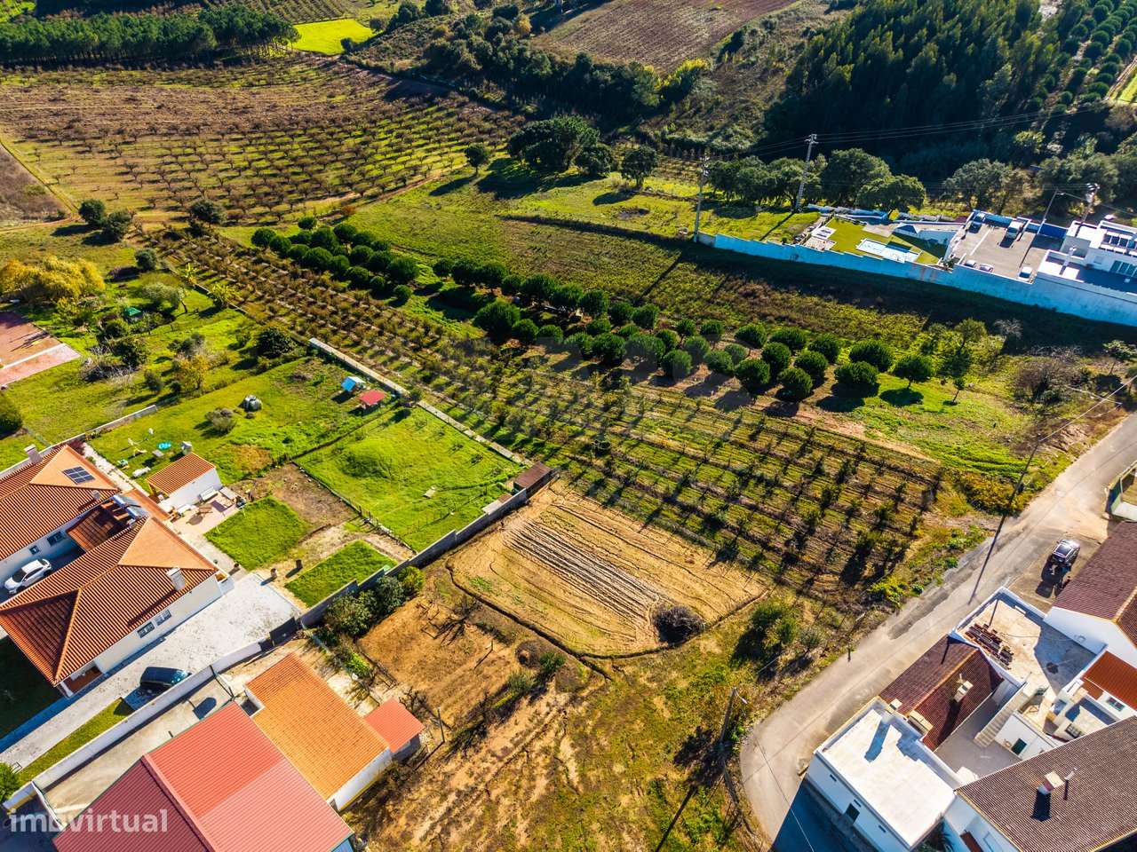 Terreno Rústico Urbanizável no Estorninho, Bombarral - Grande imagem: 5/9