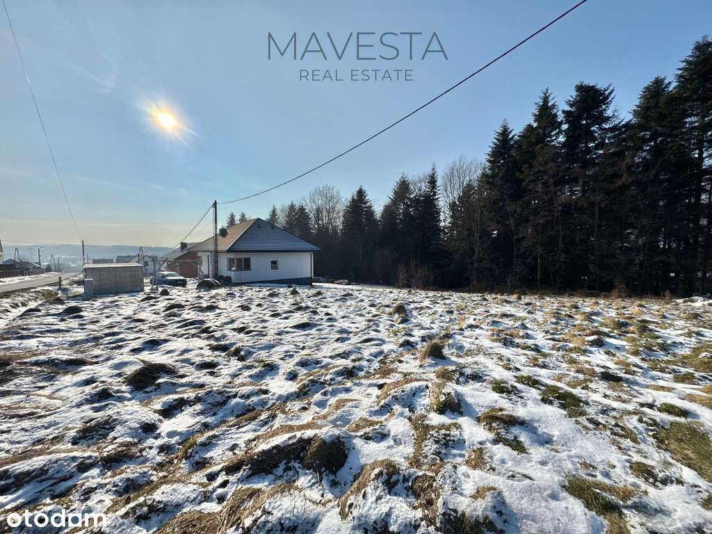 Działka budowlana w sąsiedztwie zagajnika-3