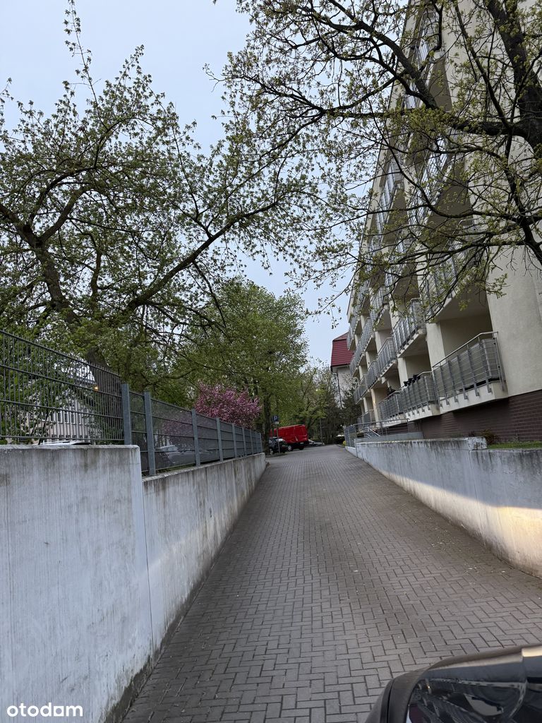 Duży garaż w Śródmieściu - Pełny obrazek: 1/11