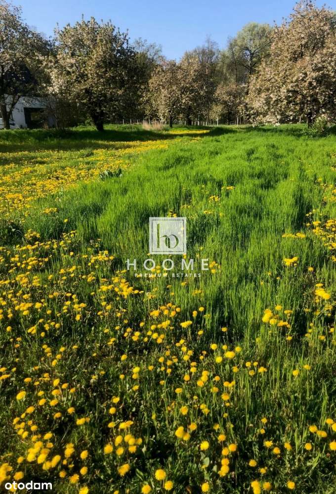 Piękna Działka 2200m2, Stare Czereśnie - Pełny obrazek: 5/5