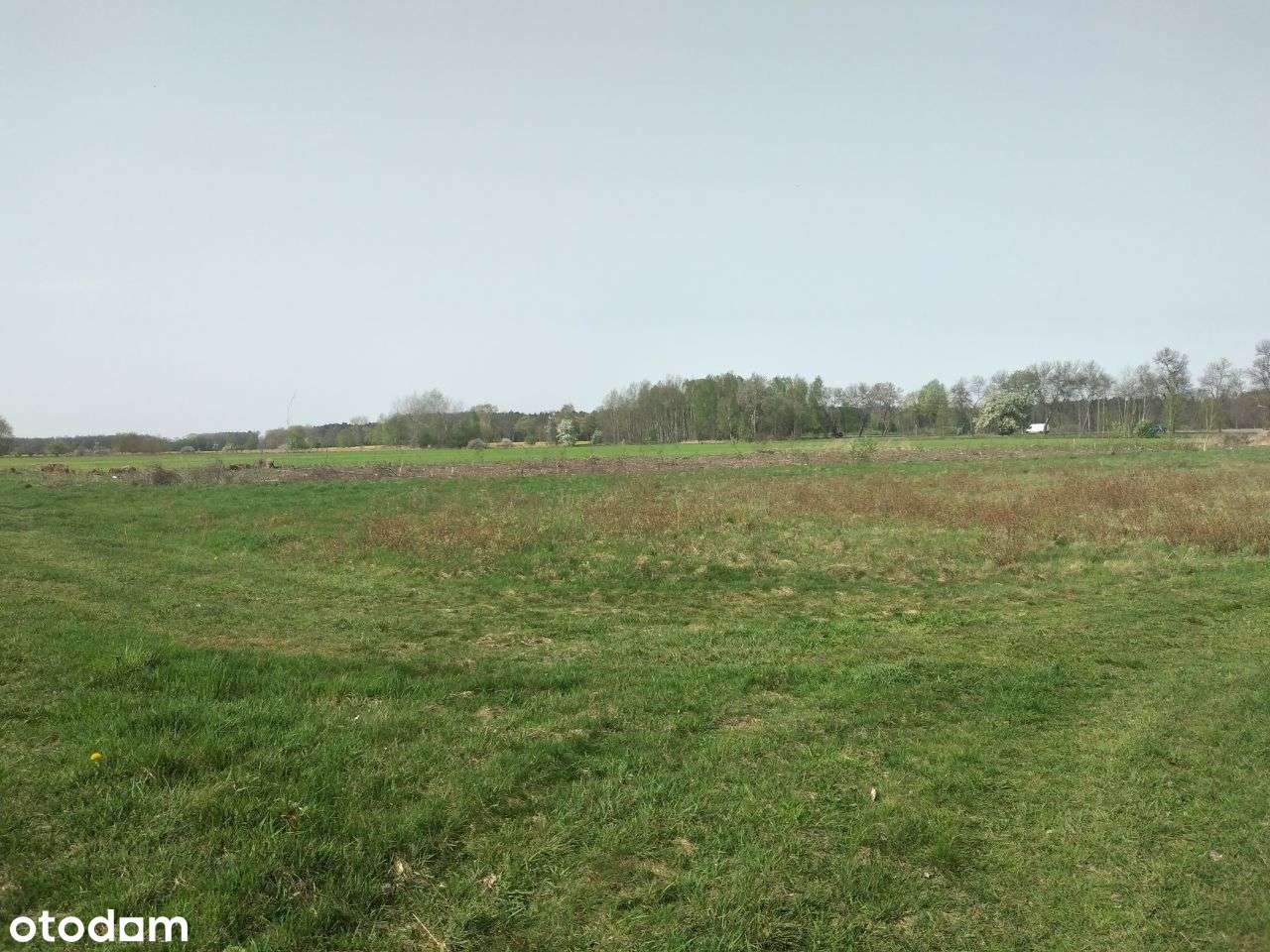 Działka inwestycyjna w m. Lipinki Łużyckie-8