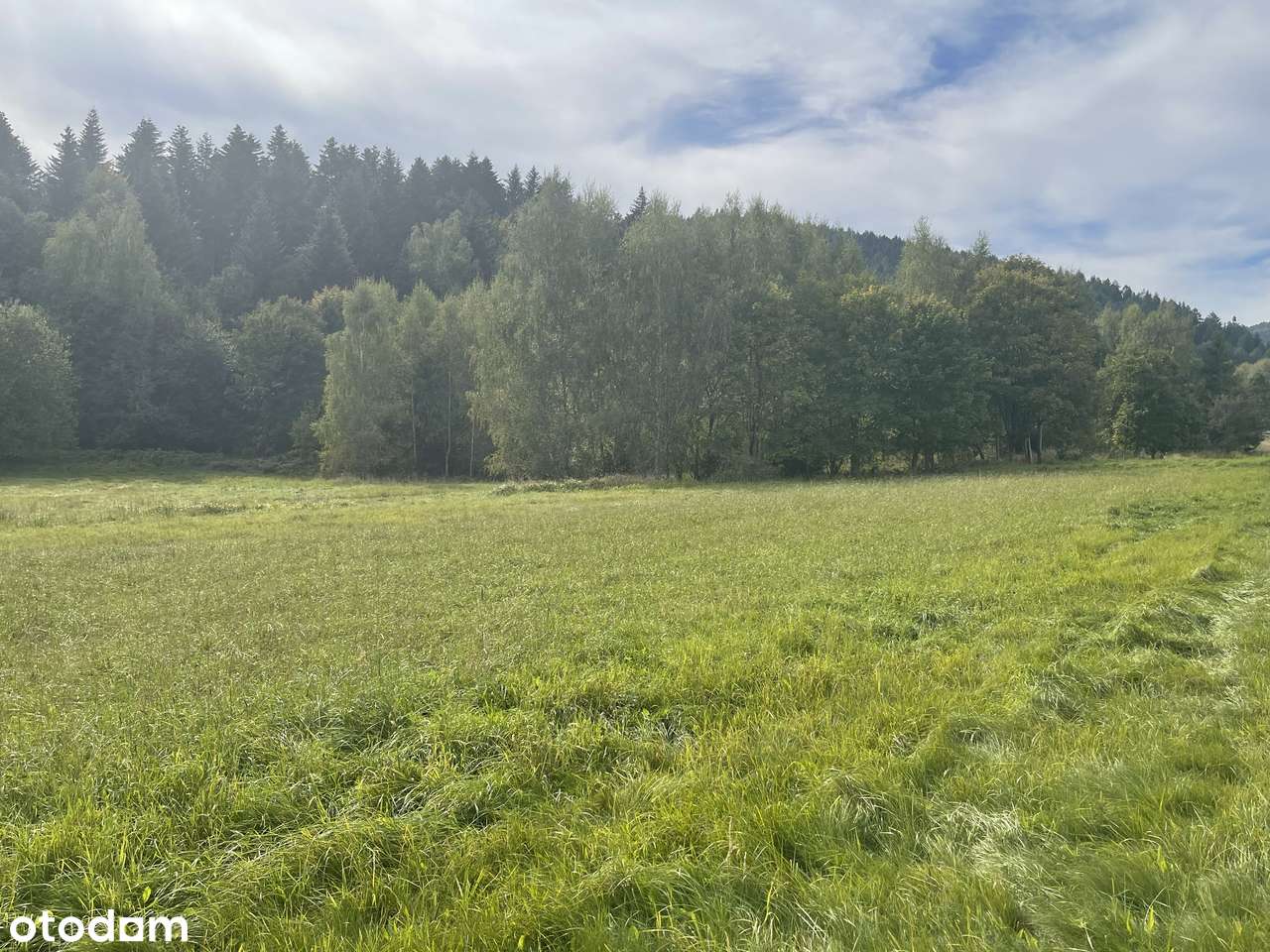 Działka pod dom z widokiem na góry - Pełny obrazek: 4/8