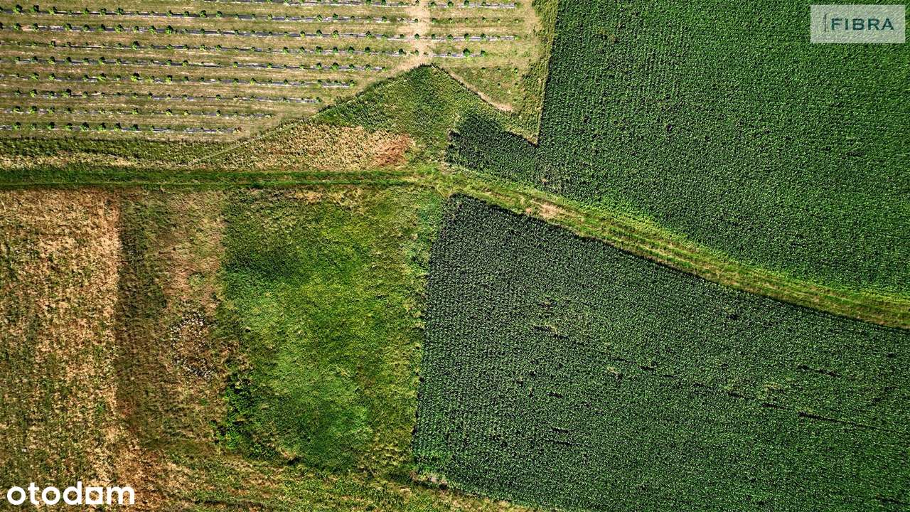 Bogactwo działki rolnej w Lyskach - Pełny obrazek: 3/20