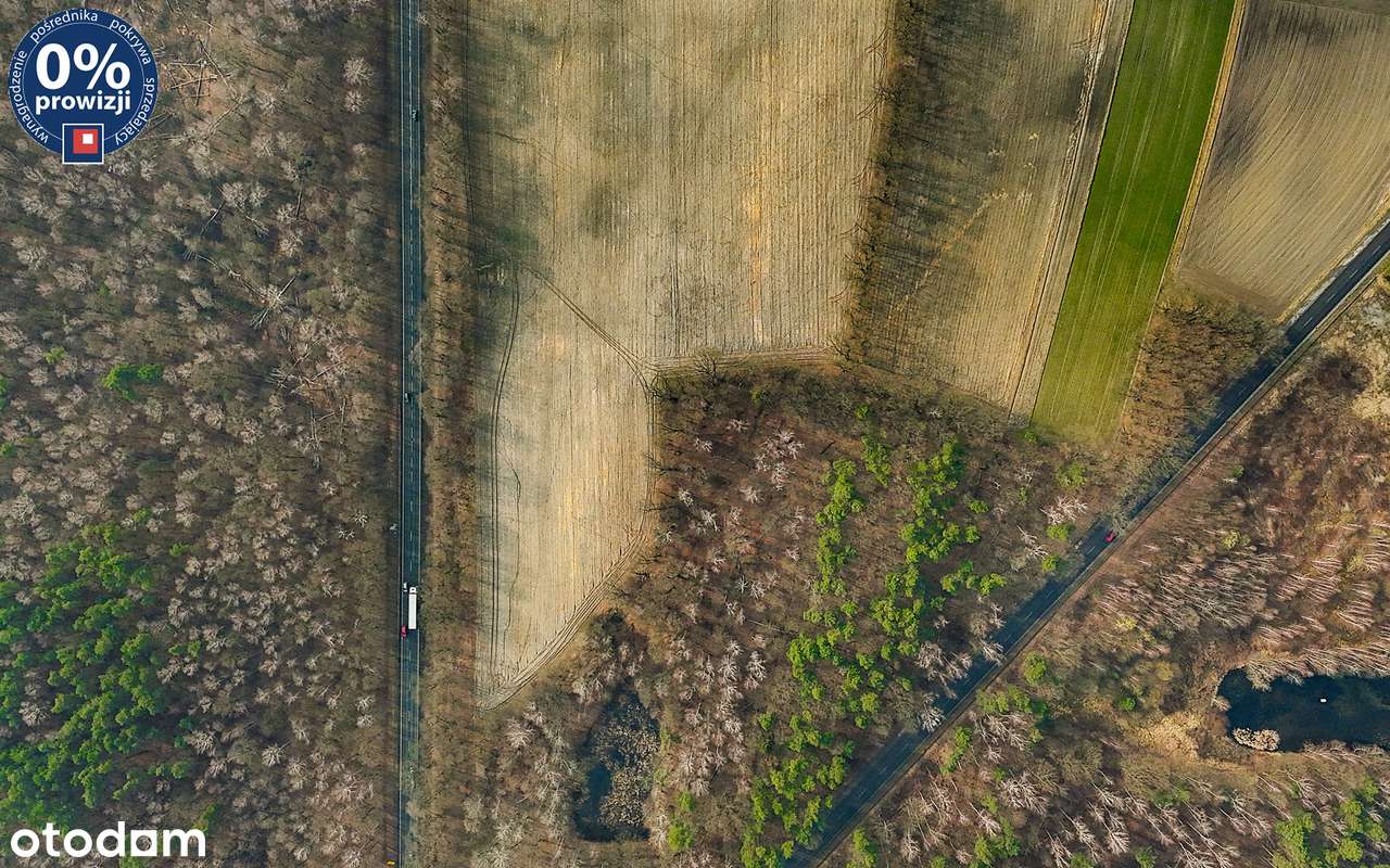 Na sprzedaż inwestycyjna działka pod lasem | Wilcza Rybnicka. - Pełny obrazek: 4/5