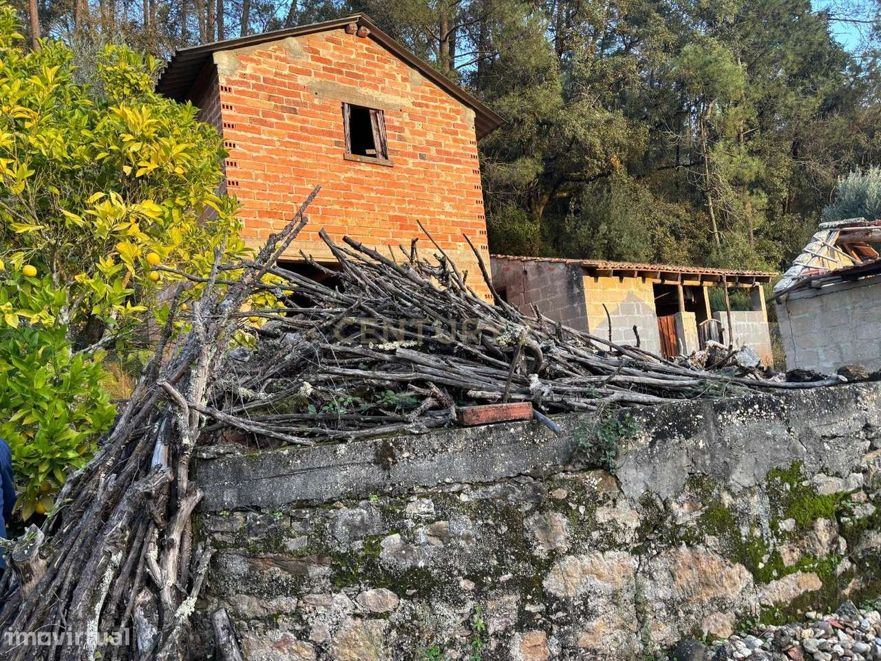 Quintinha Encantadora no Campo - Grande imagem: 4/32