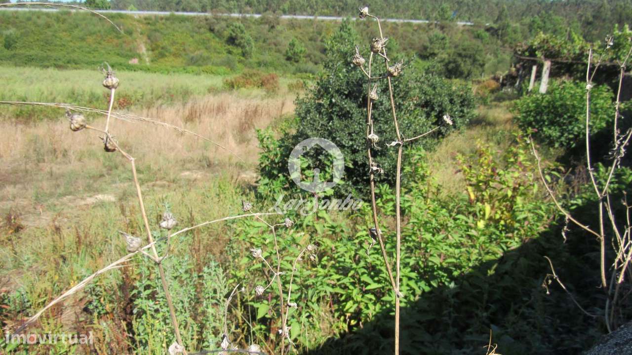 Terreno c/ 13.812,95m2 na Junqueira, Vila do conde - Grande imagem: 5/6