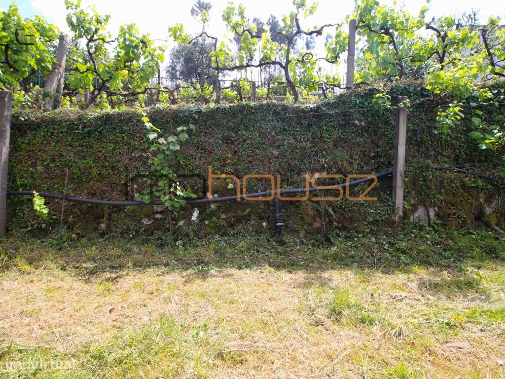 Quinta agrícola - 45 minutos do Porto-42