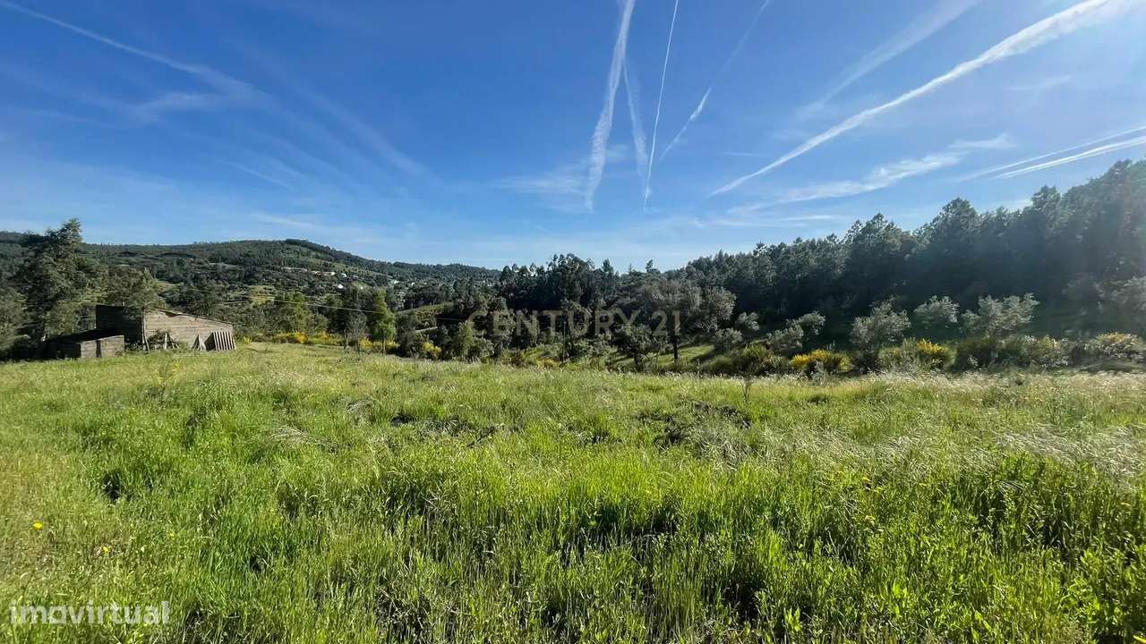 Terreno rústico em Aranhas, Penamcor - Grande imagem: 2/7