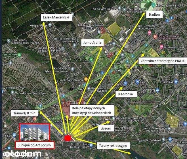 NOWE KLIMATYCZNE MIESZKANIE|GRUNWALD|PARTER|2 Pokoje -39m2 +40m2 Ogród-16