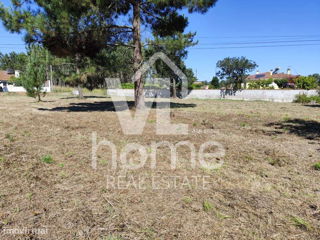 Invista no Futuro: Terreno com Potencial de Urbanização na Pocariça...-18