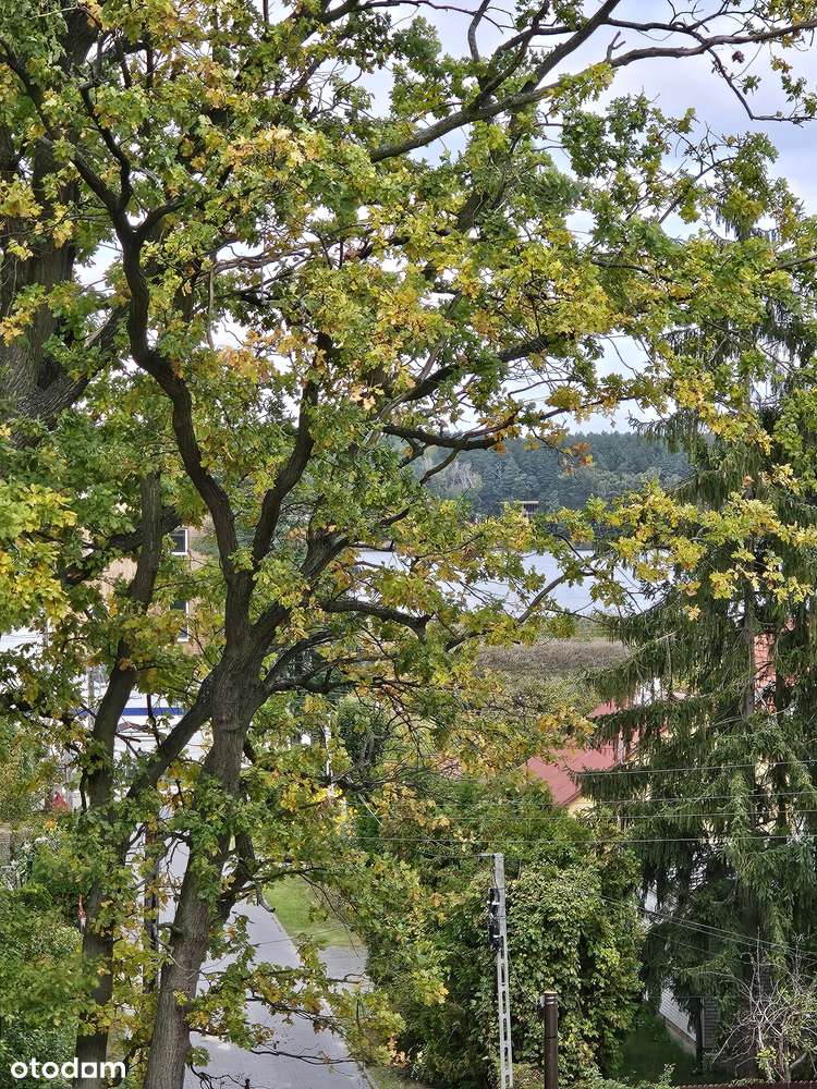 NIETUZINKOWY DOM W ZEGRZU POŁUDNIOWYM NAD JEZIOREM ZEGRZYŃSKIM.-19