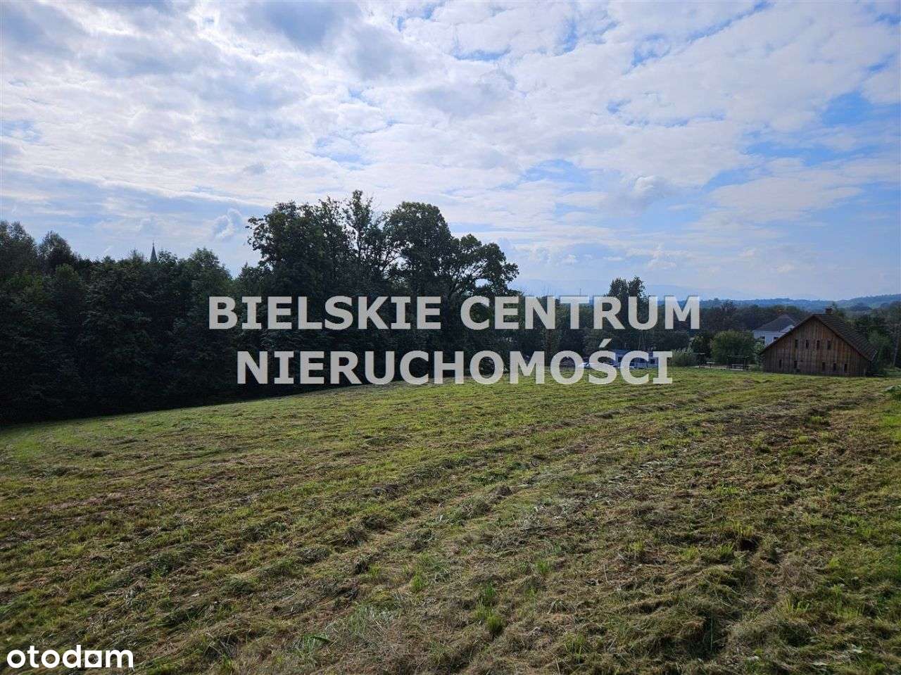 Działka, 13 942 m², Mazańcowice-9