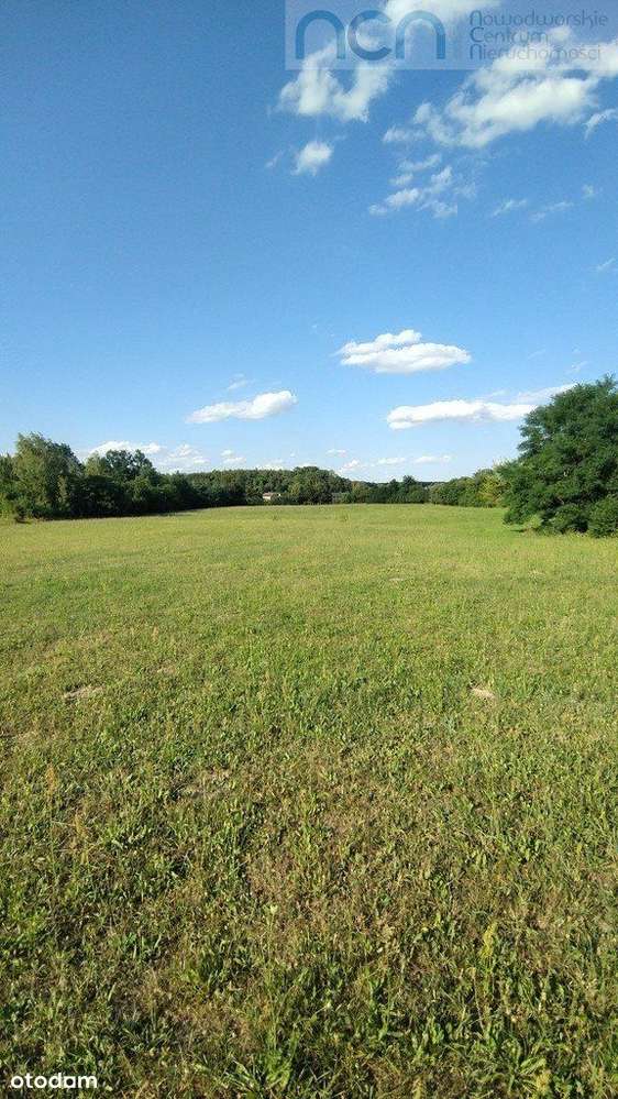 Działka w Wymysłach. - Pełny obrazek: 4/6