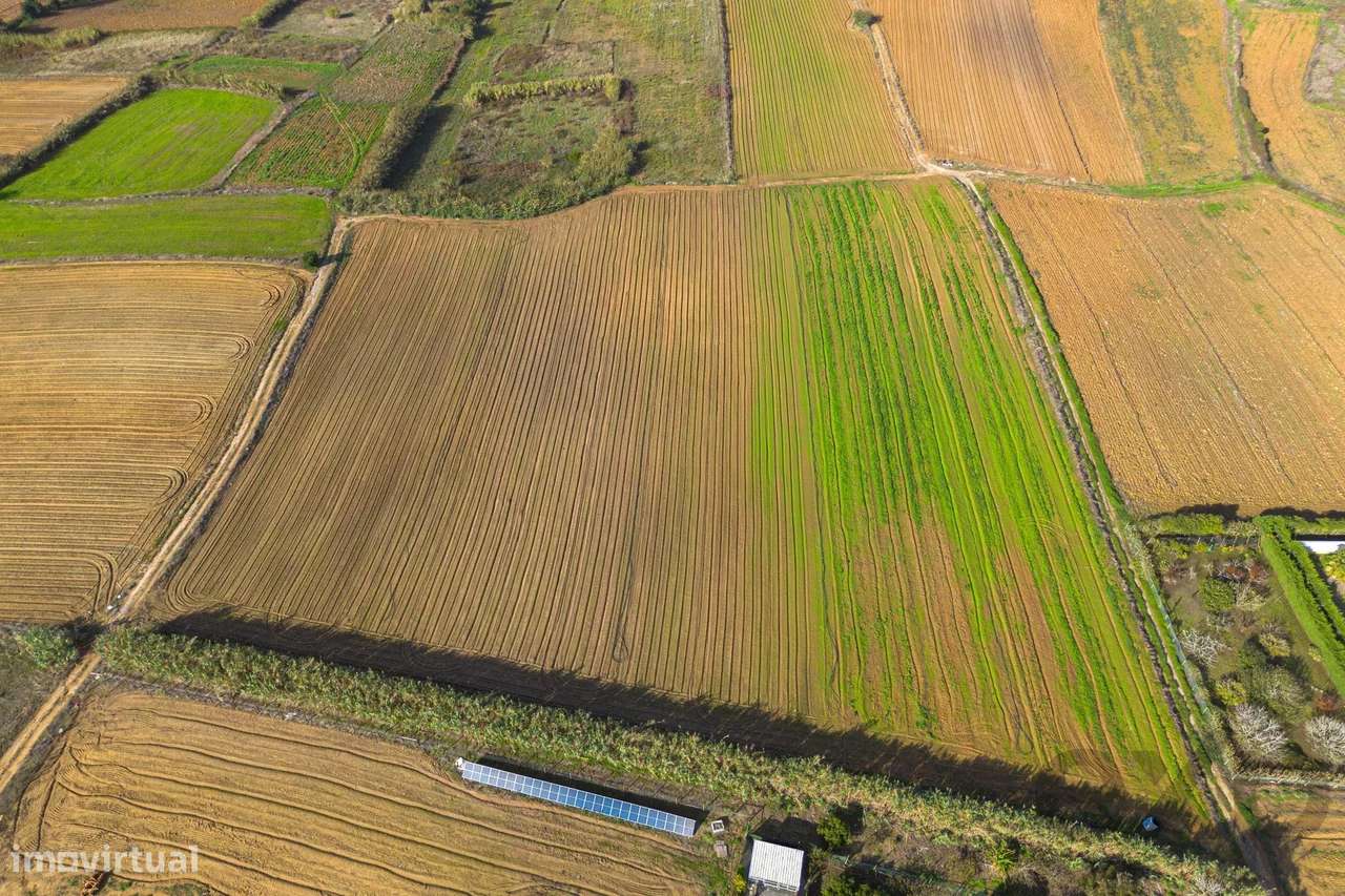 Terreno com bom potencial - Grande imagem: 2/10