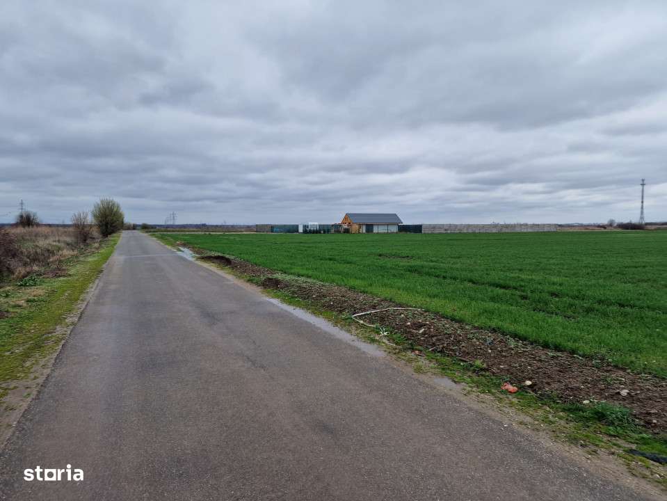 TEREN DE VANZARE DRAGOMIRESTI VALE - Imagine principală: 5/5
